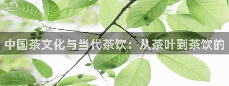 谢鸿运平台