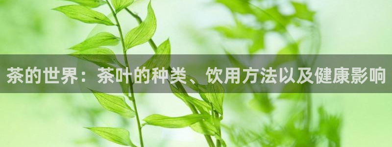 鸿运手机棋牌平台
