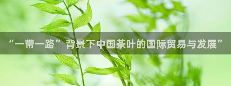 琥珀鸿运诈骗平台
