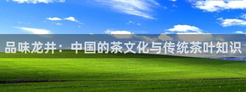 琥珀鸿运是啥平台
