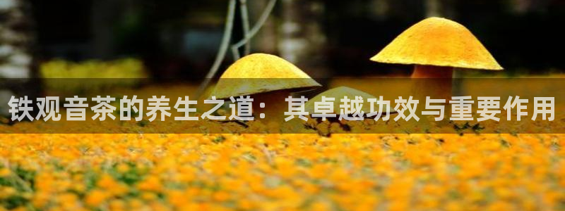 鸿运钱包平台正规吗