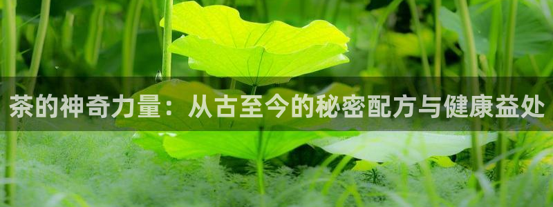 鸿运平台入口