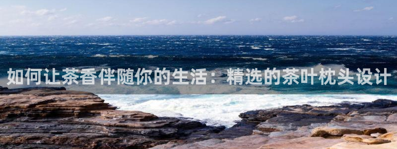鸿运来补单平台