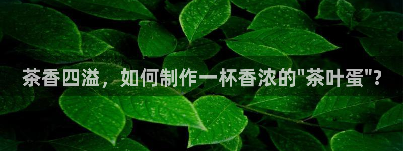 鸿运下注平台