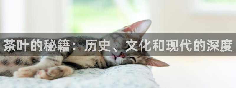 鸿运平台兼职