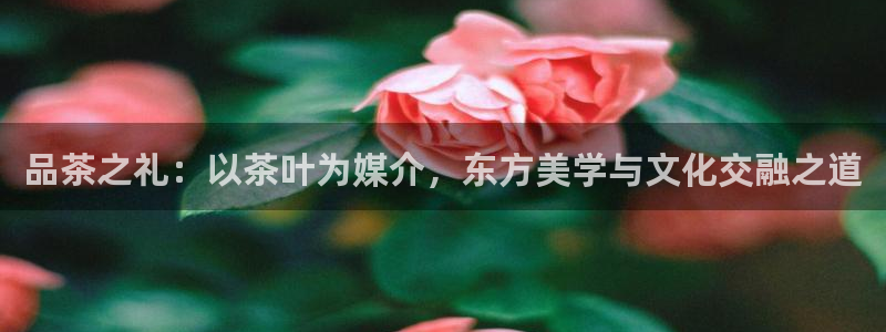 鸿运商会直播平台