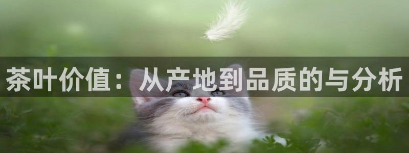 鸿运采购平台的