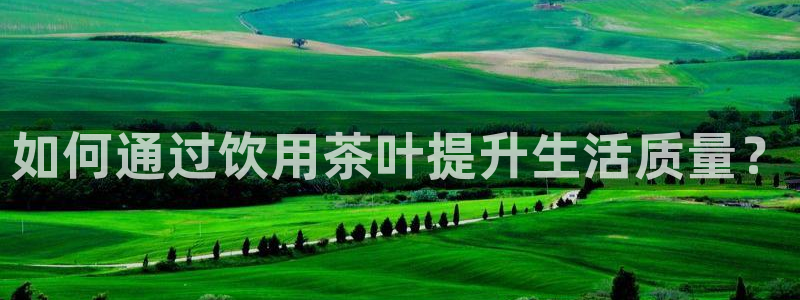 鸿运平台网投